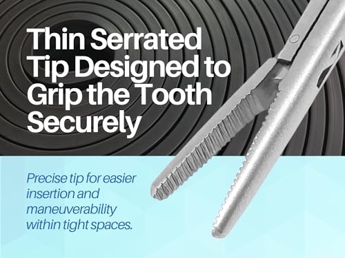 ARTMAN INSTRUMENTS Hartman Alligator Micro Forceps Precise ENT Procedures with Alligator Ear Forceps - Curved Jaw Design, Non-Slip Grip Handle, Fine-Tip by Artman Instruments (3.5 Inch) - size: 3.5 Inch
