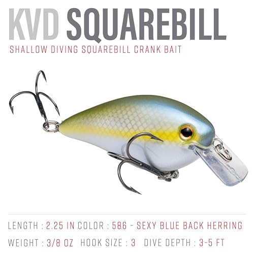 Strike King KVD 1.5 Hard Knock Fishing Lure, 3/8 oz, 3D Lifelike Eyes - color: 586 - Sexy Blue Back Herring, size: 1.5-Ounce
