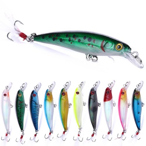 Jerkbait Fishing Lures, Top Water Bass Fishing Lures - 10pcs with Box