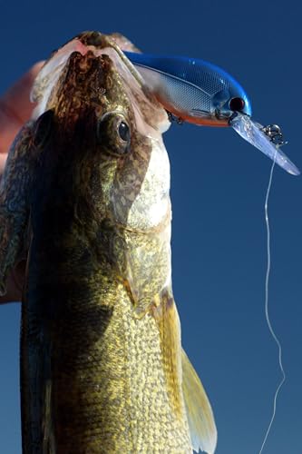 Bandit Lures Walleye Shad - color: Fruit Dots, size: WS2 (2-11/16")