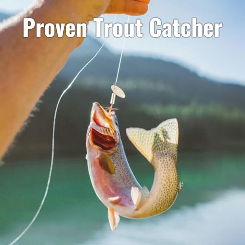 Trout Spinnerbait Lures Inline Rooster Tail Fishing Kit Brass Spinner Baits with Smooth Rotation Flash Blade for Bass Pike Crappie Saltwater Freshwater Lake River 360 Balance Hook - color: 1/16 oz