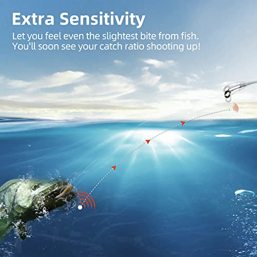 RUNCL Fluorocarbon Fishing Line, PowerFluoro Clear Ice Fishing Leader Line - Virtually Invisible, Faster Sinking, Extra Sensitivity, 300/500/1000yds, 5-32lb Break Strength, Fishing Gifts - size: 10 lb - 500 yds