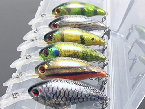 Minnow Crankbait for Bass Fishing Bass Lure Jerkbait Fishing Lures and Tackle Box - color: HC55KB