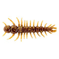 YUM Hellgrammite - color: FOOLS GOLD