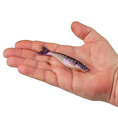 Berkley PowerBait PowerStinger Fishing Soft Bait - color: HD Bluegill, size: 4 1/4"
