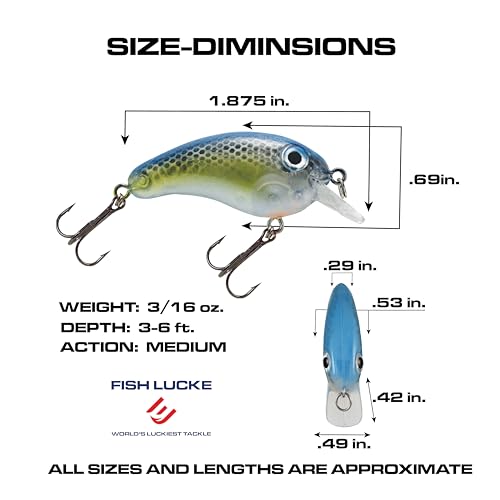 Luck E Strike Crappie Magic Crankbait (2 Inch Crappie Lure) Made in The USA - color: Blue Back Shad
