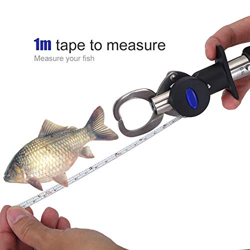 3 in 1 Fish Lip Grip Tool with Digital Scale 15kg, Fish Grabber for Freshwater Fishing, Stainless Steel EVA Foam Handle