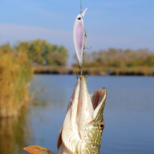 10pcs/20pcs Fishing Blanks Lures Kit Fishing Topwater Unpainted Swimbait Unpainted Crankbaits Hard Baits DIY Lure for Bass Salmon Trout Saltwater and Freshwater - color: G: 20pcs 0.39oz/11g and 0.4oz/11.5g