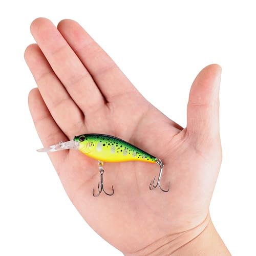 Berkley Flicker Shad Fishing Lure, Firetail Hot Perch, 3/16 oz, 2in | 5cm Crankbaits, Size, Profile and Dive Depth Imitates Real Shad, Equipped with Fusion19 Hook - color: Firetail Hot Perch, size: 2in - 3/16 oz