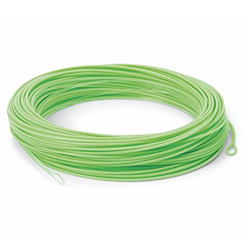 Cortland Precision 5’ Ghost Tip Fly Line - size: WF5FI