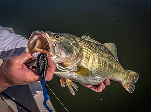 Berkley PowerBait Power Worms Fishing Soft Bait - color: June Bug, size: 7" (13 Count)