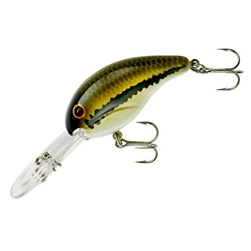 Bandit Lures BDT - color: Baby Bass