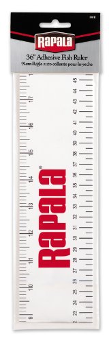 Rapala Adhesive 36 Inch Fish Ruler, Premium Fishing Measurement Tool, Accessory for Anglers and Outdoor Enthusiasts