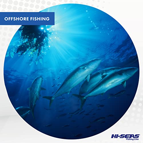 HI-SEAS Quattro Monofilament Fishing Line - Low-vis 4 Color Camo, Strong & Durable Performance Saltwater Main Line - style: 20 Lb Test, 0.45 Mm Dia, 650 Yd