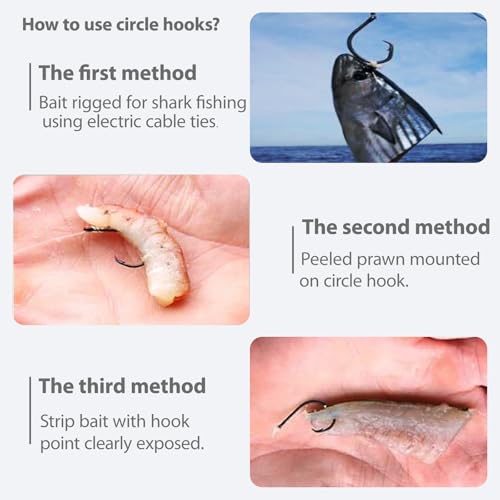 Catfishing Circle Hooks 50/100Pcs Octopus Fishing Circle Hooks Saltwater Freshwater for Catfish Bass Redfish 1/0 2/0 /3/0 4/0 5/0 6/0 7/0 8/0 9/0 10/0 12/0 14/0 - size: 50PCS 7/0