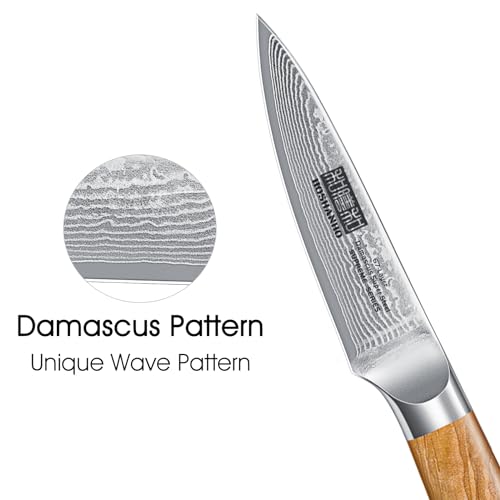 HOSHANHO Damascus Paring Knife 3.75 Inch, Professional 67 Layers Damascus Super Steel Small Fruit Knife, Super Sharp Hand Forged Japanese Paring Knife - style: 3.75 inch Paring Knife