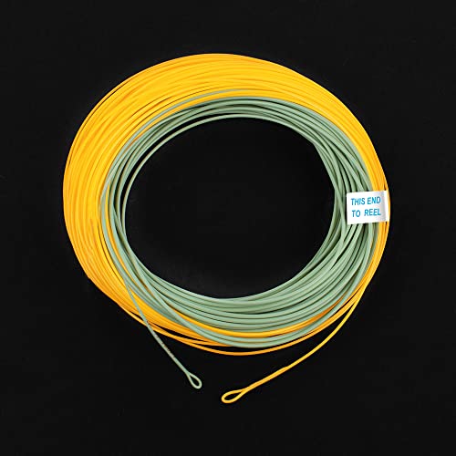 HERCULES Fly Fishing Line Floating Weight Forward Fly Line with Double Welded Loop - color: Gold & Moss Green, size: WF7F 100FT