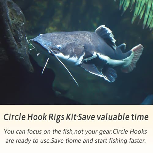 Fishing Hook Rigs 25/50 Pack - Circle Hook 1/0-10/0 with Stainless Steel Leader, Crane Swivel - Heavy Duty Saltwater Rigs for Catfish, Shark, Surf & Bottom Fishing - size: 4/0