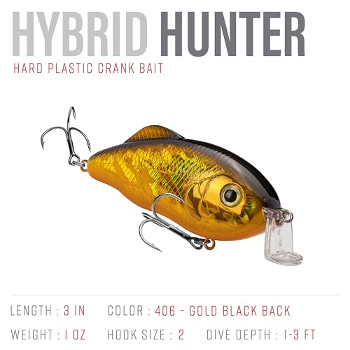 Strike King Hybrid Hunter Shallow Jr. Fishing Lure, Shallow Diving Crankbait, 90-Degree Bill, 3D Eyes, Loud Rattle, Dives 1 to 3-Feet,Size 4 & 6 Treble Hooks - color: Gold/Black Back, size: 1 oz