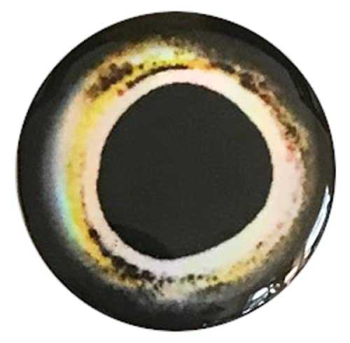 Brule 3-D Holographic Epoxy Fish Eyes (5mm-20mm) 60 Pack, Handpoured, Fishing Fly Tying Lures DIY Crafts - color: Aura, size: 20mm