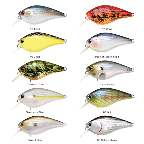 LUCKY CRAFT 1.5DRS Deep Rattle Sound Crankbait Fishing Lures, Shallow Diving Trout and Bass Lures, 3-4ft Depth, Square Bill Crankbait, Saltwater Fishing Gear and Accessories - color: 270 MS American Shad