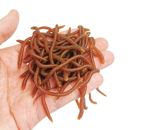 1.6in/3.3/3.9in Fishing Soft Lure Trout Worm Earthworm Bait Lifelike Fake Bloodworm Grub Worm Soft Fishing Lure Baits - color: Brown (50pcs/Pack), size: 3.3inch