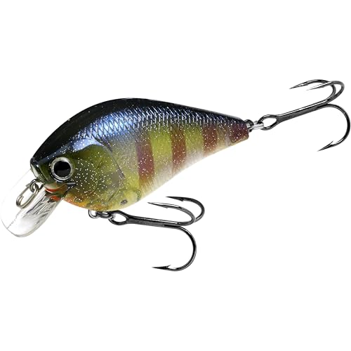 LUCKY CRAFT Fat CB BDS2 Fishing Lure, 2.5" Floating Squarebill Crankbait, 2–3 ft Depth, Freshwater Trout and Bass Lures, Bass Fishing Gear and Tournament Hard Bait - color: 275 CF Flake Flake BE Gill