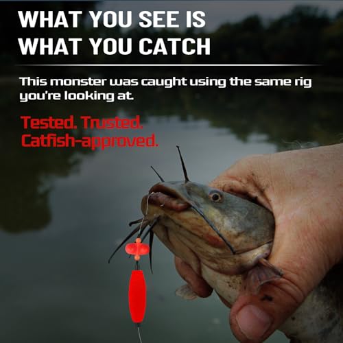 Narcissus Catfish Rigs Set – 6 Pre-Tied Rigs with 2 Sinker Sliders, Float Rigs Tackle, Santee Rig, Circle Hooks 6/0 – Complete & Ready-to-Use Kit - color: Hook Size 6/0-Weight 2 oz