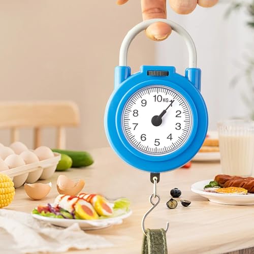 Haofy Handheld Scale, Fishing Hanging Scale Mechanical Kitchen and Fish Fishing Scale Multi Purpose Portable Hand Held Dial Weight Scale - color: Blue