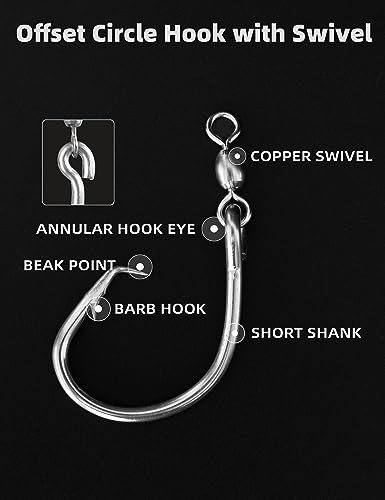 BLUEWING Offset Circle Hook with Swivel Stainless Steel 5pcs/10pcs Extra Sharp for Freshwater Saltwater Big Game Fishing - style: Size 02: 5/0, 10pcs