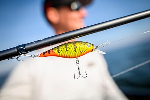 Berkley FFSH - color: Firetail Chrome Candy, size: 2 3/4 in - 2/7 oz