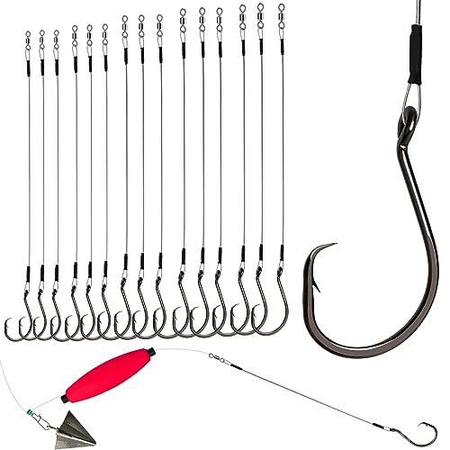 Dovesun 30PCS/20PCS Circle Hooks Fishing Pre-Rigged Catfish Rig for Saltwater Freshwater Catfish Hooks with Wire Leader 2/0 4/0 6/0 8/0 10/0 - color: A-2/0 4/0 6/0 8/0 10/0 Circle Hooks Kit-30PCS