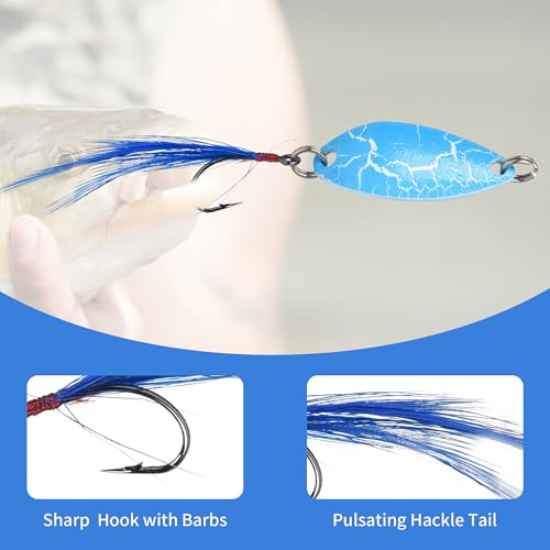 Doukado Premium Quality Fishing Lures, 12 Trout Spoons with Tackle Box, Versatile Fishing Gear for Anglers