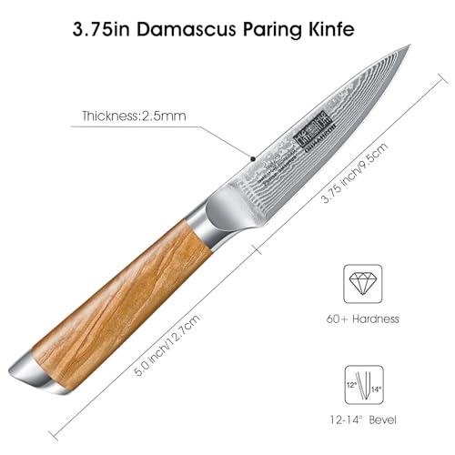 HOSHANHO Damascus Paring Knife 3.75 Inch, Professional 67 Layers Damascus Super Steel Small Fruit Knife, Super Sharp Hand Forged Japanese Paring Knife - style: 3.75 inch Paring Knife