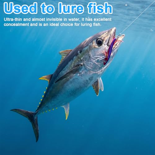 2 PCS Elastic Fishing String Nylon Invisible Thread 0.2mm Length 656 Feet Per Spool Stretchy Fishing Line for Salmon Sturgeon Catfish