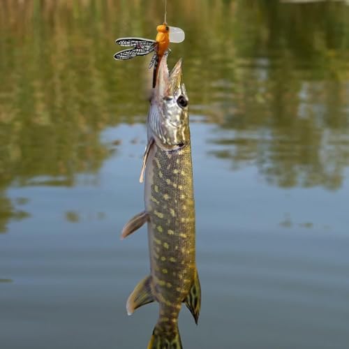 Topwater Fishing Lures Insect Fishing Lures Dragonfly Fishing Lures Dragonfly Lure Fishing Bait with Hooks for Outdoor Fishing Tools - color: Dragonfly 6pcs