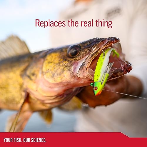 Berkley Gulp! Minnow Fishing Soft Bait - color: Gold Leaf, size: 1"