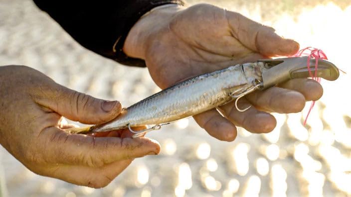Dead Bait Trolling Lure (Bare) – Premium Fishing Rig for Kayaks, Boats & Jet Skis – Realistic Swimming Action – Ideal for Pelagic Species - color: Pearl White, size: X-Large
