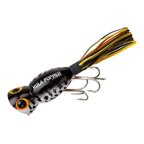Arbogast Hula Popper Topwater Bass Fishing Lure - color: Coach Dog Orange Belly, size: 2 1/4 in, 5/8 oz