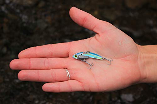 SteelShad - Mini Series (1/4 oz) - 2 Pack - Lipless Crankbait for Freshwater Fishing - Perfect for Ice Fishing, Pan Fishing, Crappie, Walleye and Bass - color: Sexy Shad