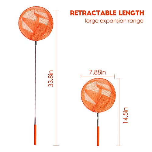 TSYAN Telescopic Butterfly Net, Perfect for Catching Bugs Insect Small Fish,Outdoor Tools Colorful Extendable up to 34" for Kids (6Pack) - color: 6 Pack