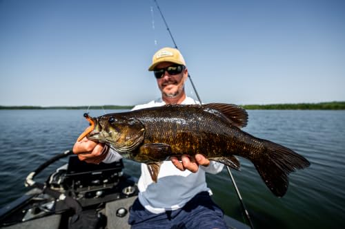 CrushCity Ned BLT Soft Plastic Ned Rig Stick Bait, Compact Finesse Worm for Mushroom Jig Heads & Pressured Bass - color: Watermelon Red, size: 3"