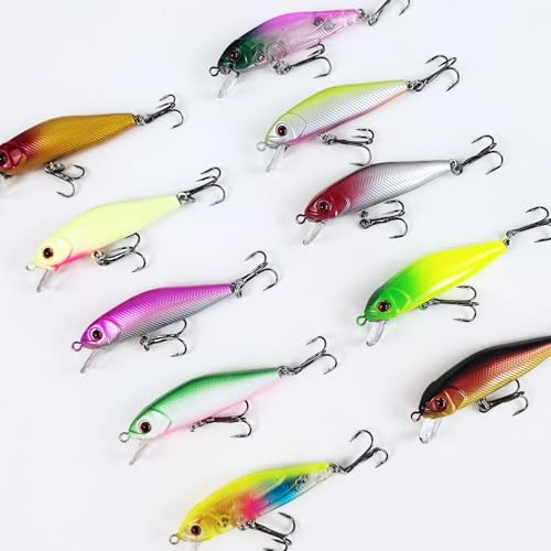 Fishing Lures Large Hard Bait Minnow VIB Lure with Treble Hook Life-Like Swimbait Fishing Bait Popper Crankbait Vibe Sinking Lure for Bass Trout Walleye Redfish - color: 10pcs 6.2cm/5.6g