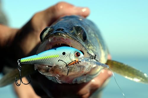Bandit Lures Walleye Shad - color: Fruit Dots, size: WS2 (2-11/16")