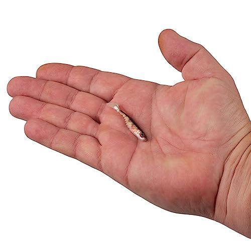 Berkley PowerBait Ripple Shad Fishing Soft Bait - color: HD Yellow Perch, size: 2"