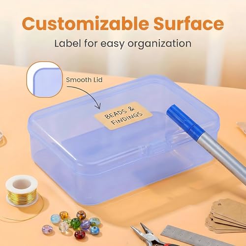 LJY 28 Pieces Rectangular Empty Mini Clear Plastic Organizer Storage Box Containers with Hinged Lids (3.3 x 2.2 x 1 inch, Blue) - color: Blue, size: 3.3 x 2.2 x 1 inch