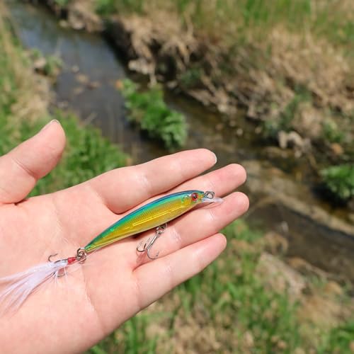 EXAURAFELIS Suspending Jerkbaits California Surf Fishing Lures Fishing Gear Minnow Lure swimbaits Minnow Lure Baits Kit Topwater Baits Swimbait for Bass Trout Pike Catfish FishingPlug Freshwater