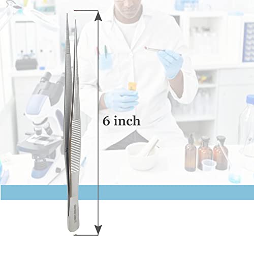 Stainless Steel High Precision Forceps with Fine Strong Straight Serrated Point to use Engineer Labware for Scientific Use 6" (15.2 cm), (6 Inch) - size: 6 Inch