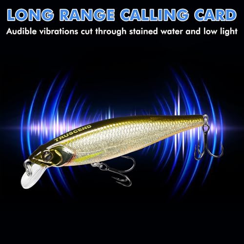 TRUSCEND Suspending Jerkbait, Rattle Minnow Lures with BKK Hooks, Freshwater Bass Trout Striper Walleye Pike Fishing Lures, Variety Pack for All Water Conditions, Premium Fishing Gear and Gifts - color: A1-3.5",0.3oz