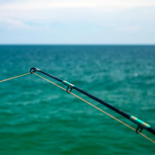 PATIKIL Fishing Rod Tip Repair Kit Stainless Steel Ring Guide for Saltwater Freshwater Fishing - color: Black,Silver